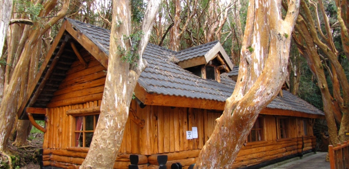 Bosque de Arrayanes