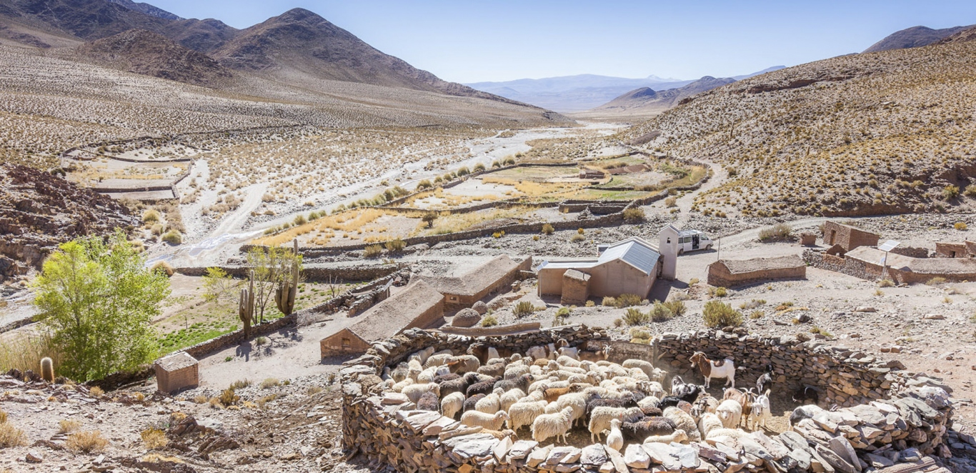 Ruta San Antonio de los Cobres - Salta