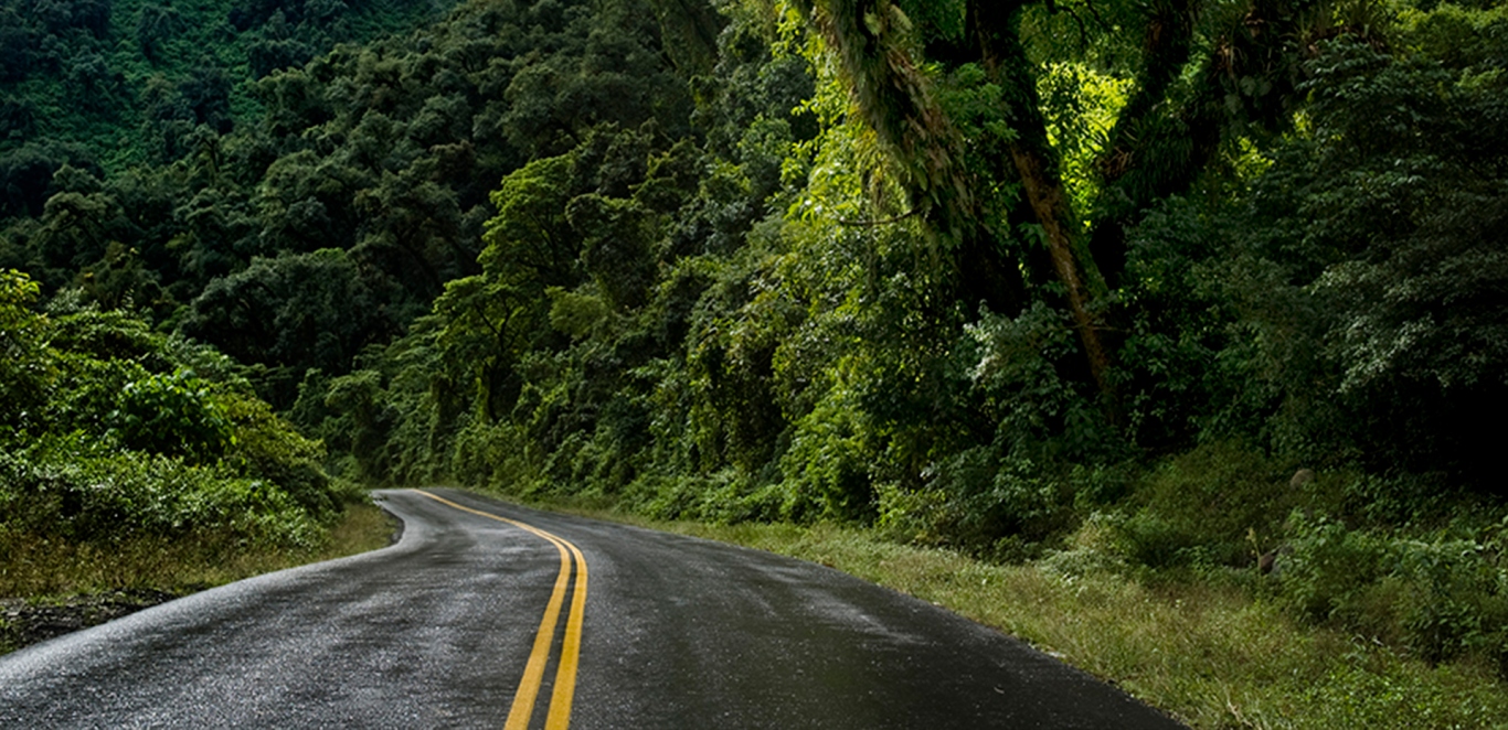 Yungas tucumanas - Tucuman