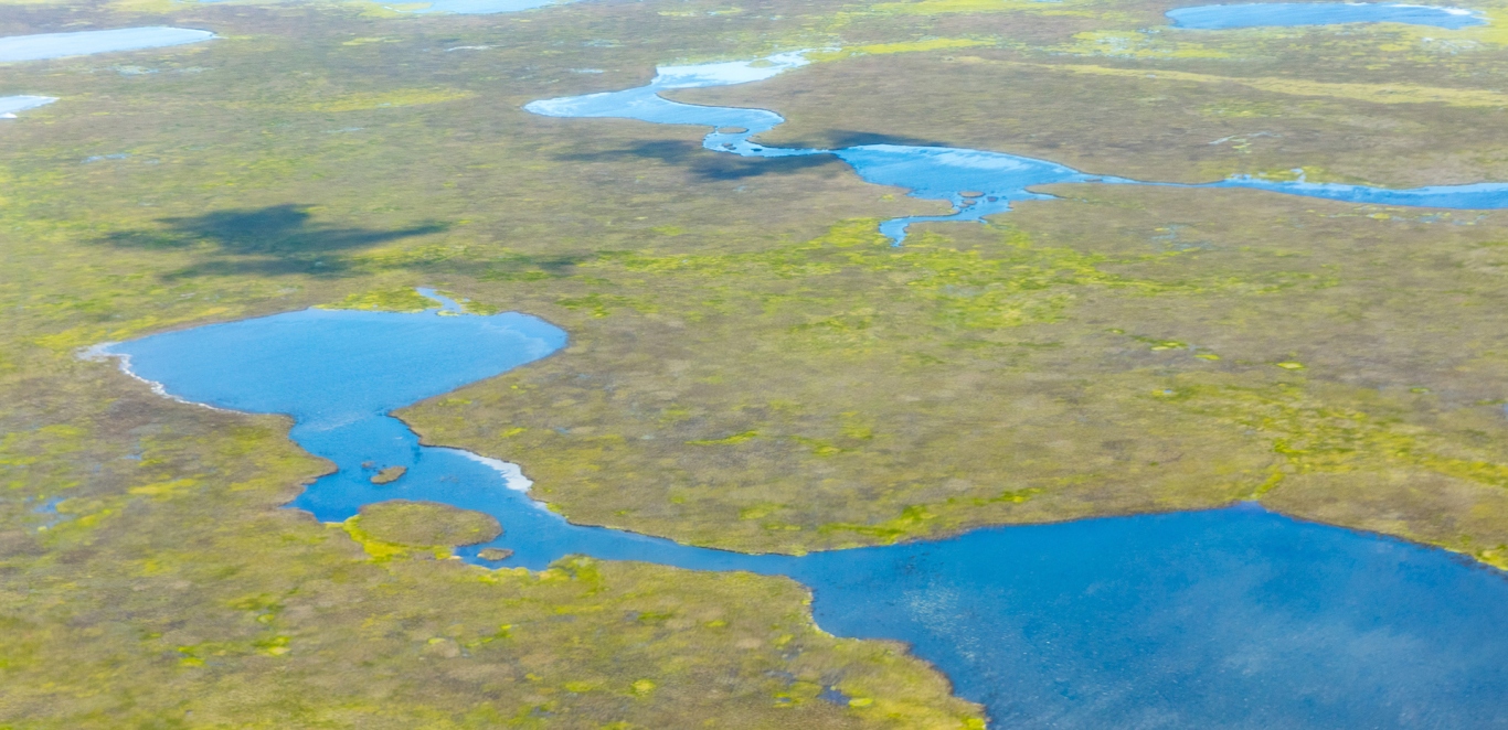 Esteros del Ibera - Corrientes - Argentina