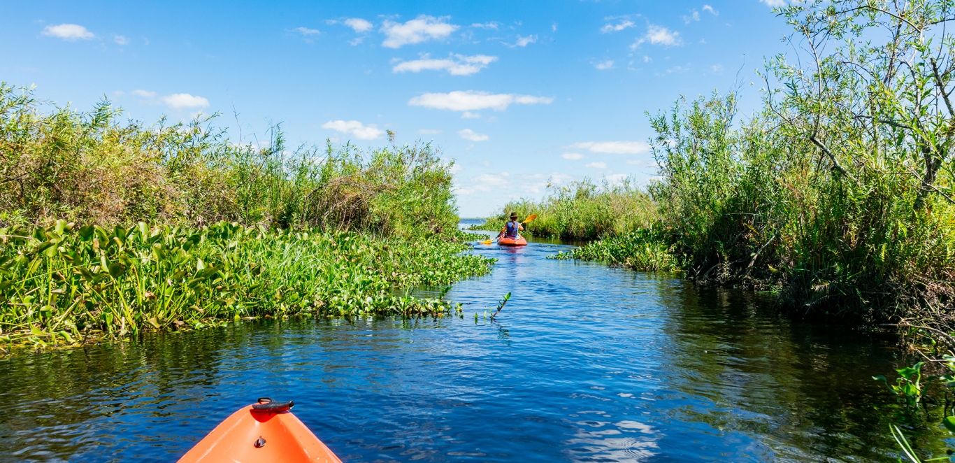 Esteros - Kayak - Corrientes - Argentina