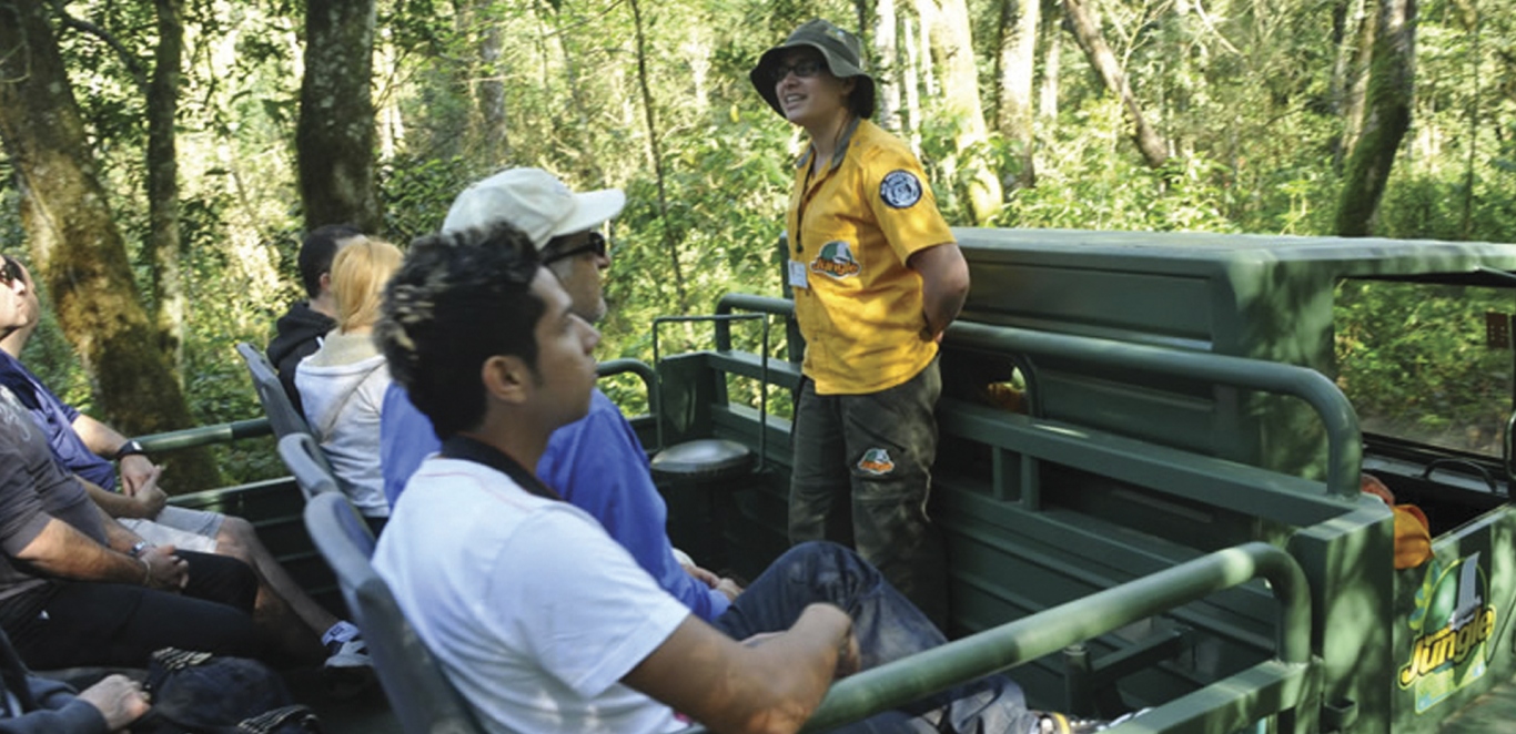 Gran Aventura - Bus selva
