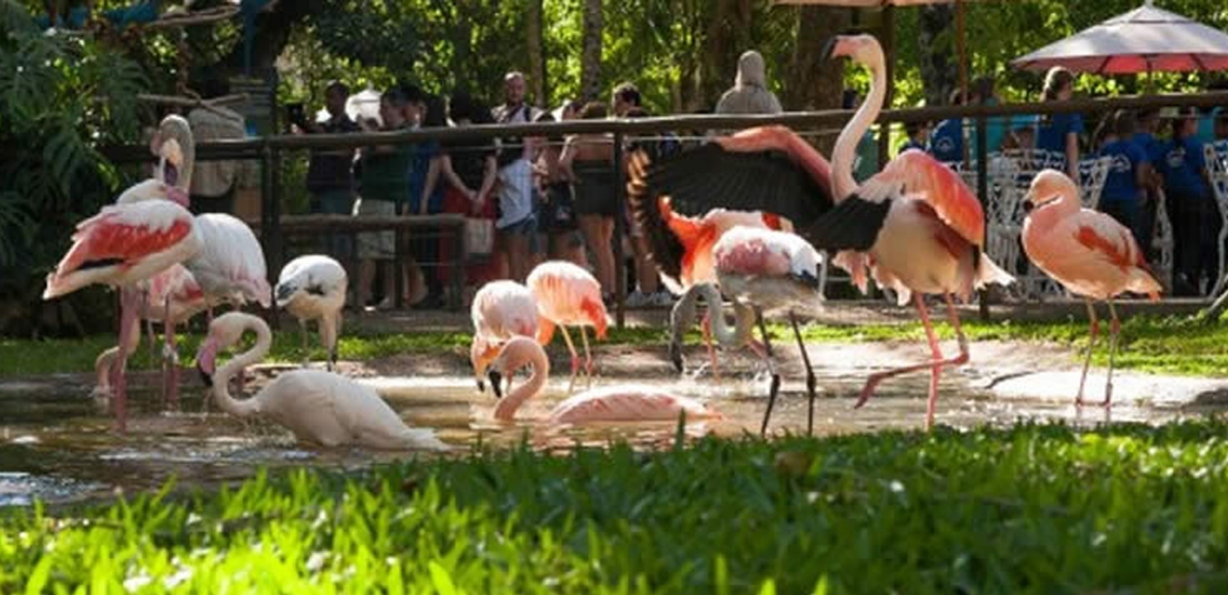 Parque das Aves