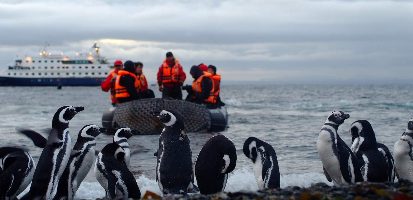 Ping&Atilde;&frac14;inos - Barco Ventus Australis
