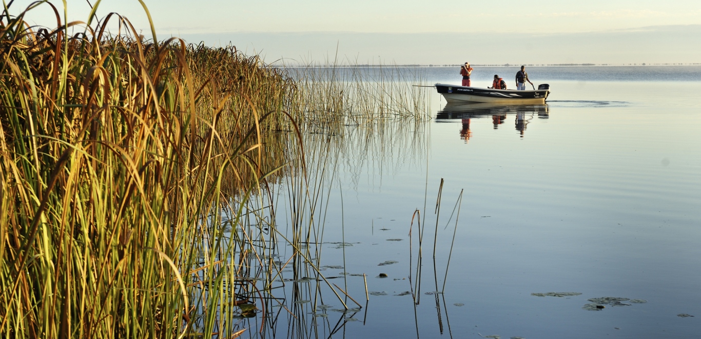 Esteros del Ibera - Corrientes - Argentina