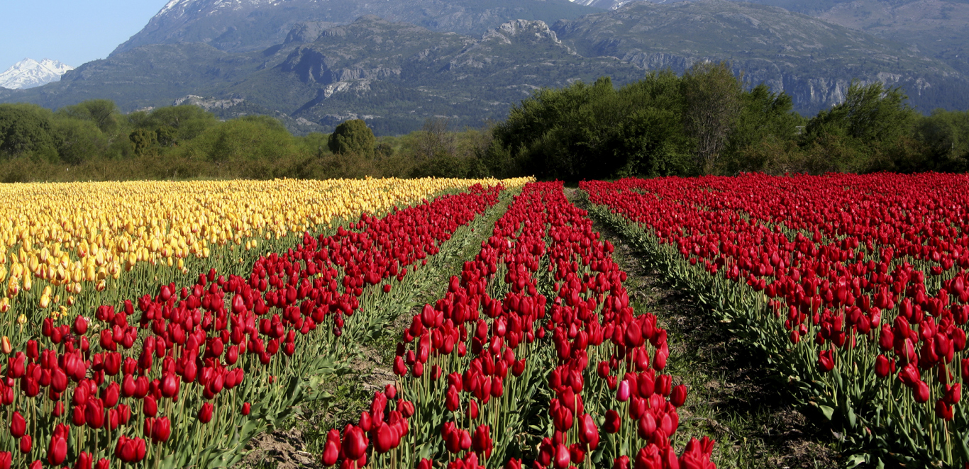 Futaleufu y Trevelin