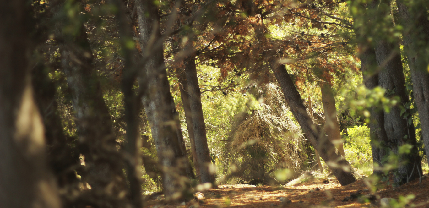 El Bolson - Lago Puelo