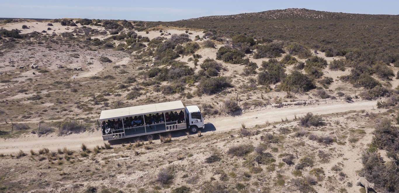 Estancia San Lorenzo - Peninsula de Valdes