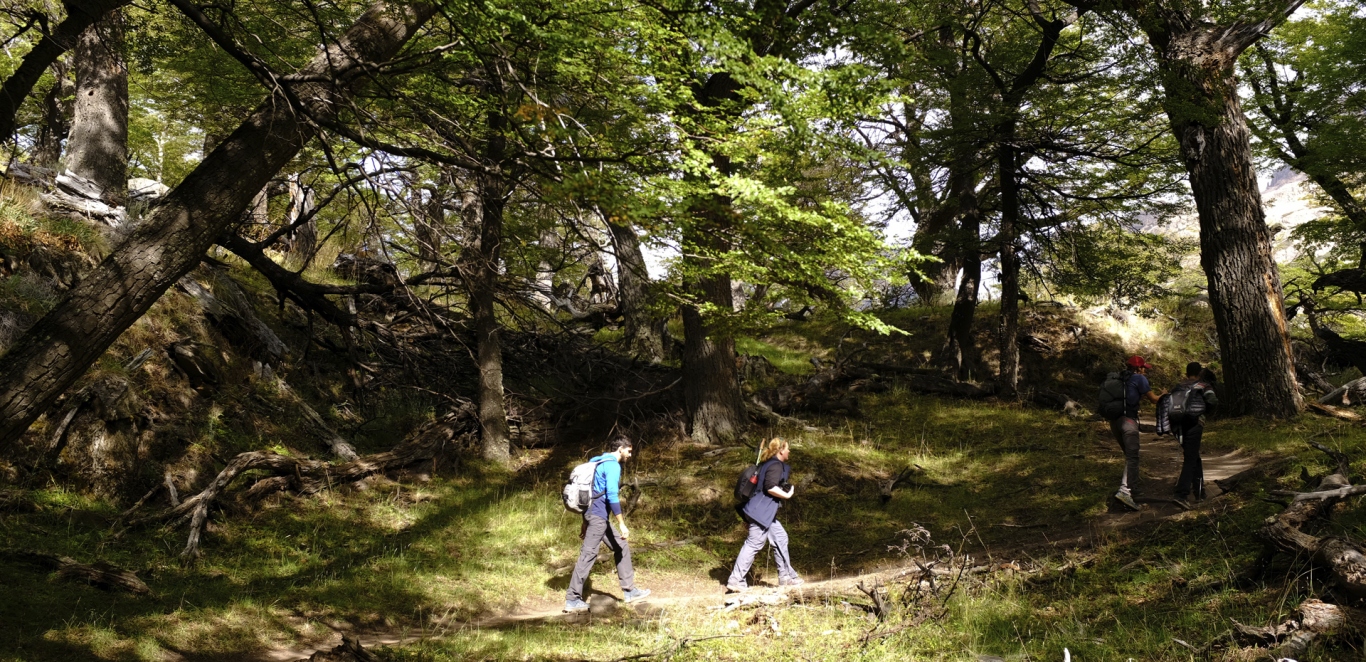 Trekking Laguna del Desierto