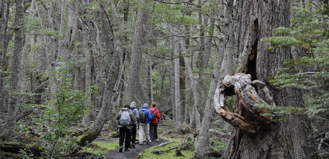 Trekking Parque Nacional Tierra del Fuego