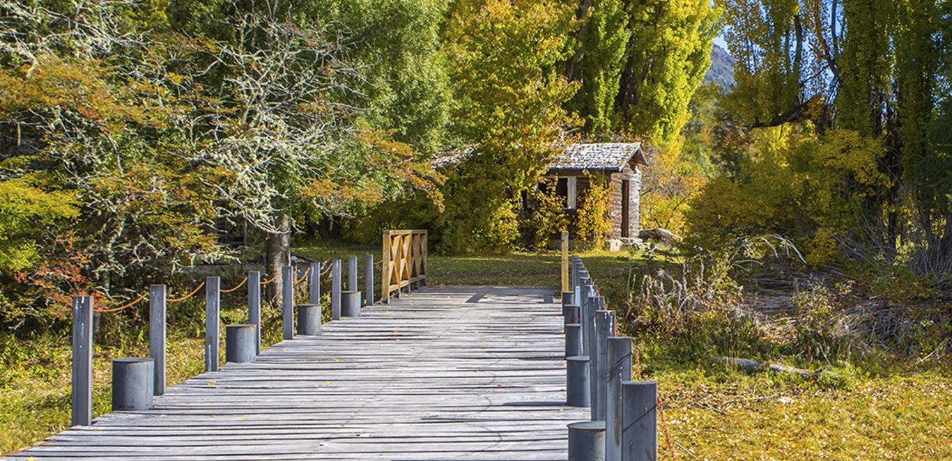 Camino al Cerro Tronador