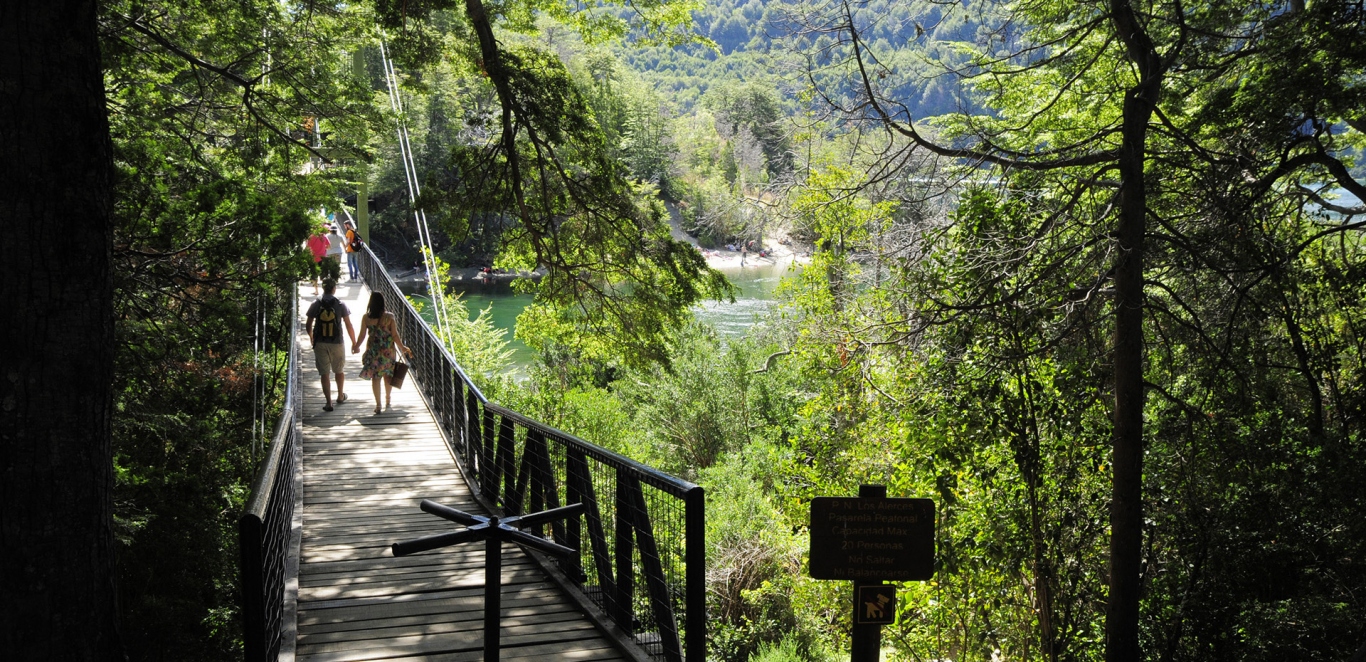 Caminatas - Los Alerces
