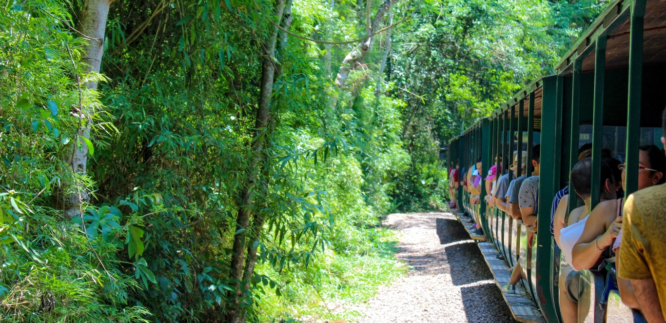 Tren Garganta del Diablo - Iguaz&Atilde;&ordm;