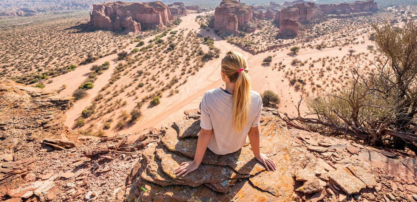Panoramica Talampaya - La Rioja