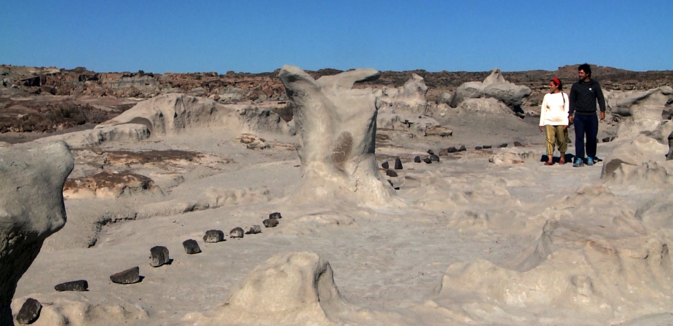 Valle de la Luna - Valle Fertil