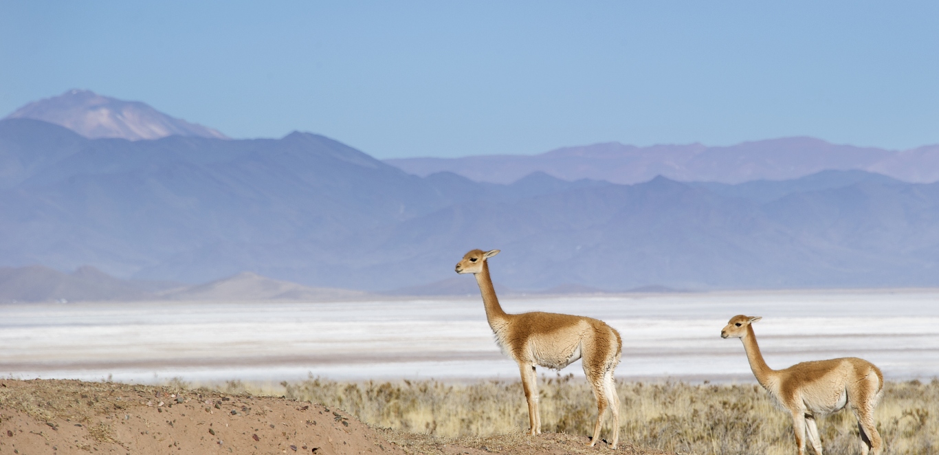 Salinas Grandes - Jujuy - Norte Argentino