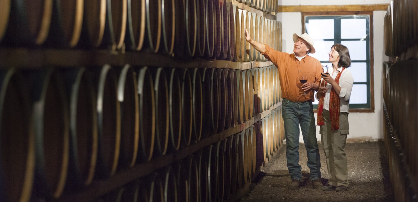 Cfayate visita Bodega - Salta