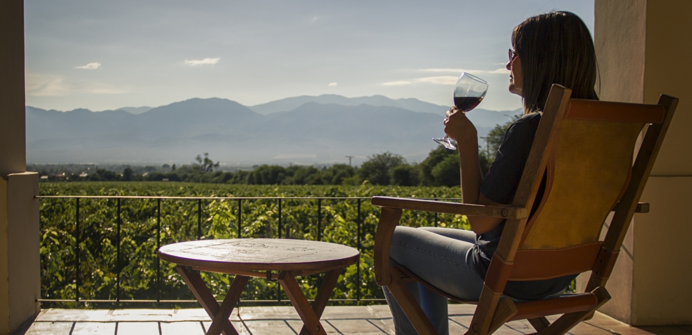 Vi&Atilde;&plusmn;as de Cafayate - Caminos del vino