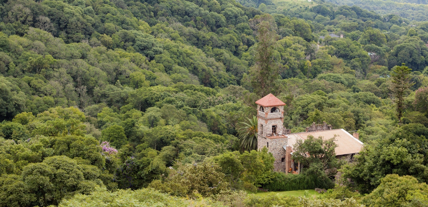 San Lorenzo - Yungas Salte&Atilde;&plusmn;as