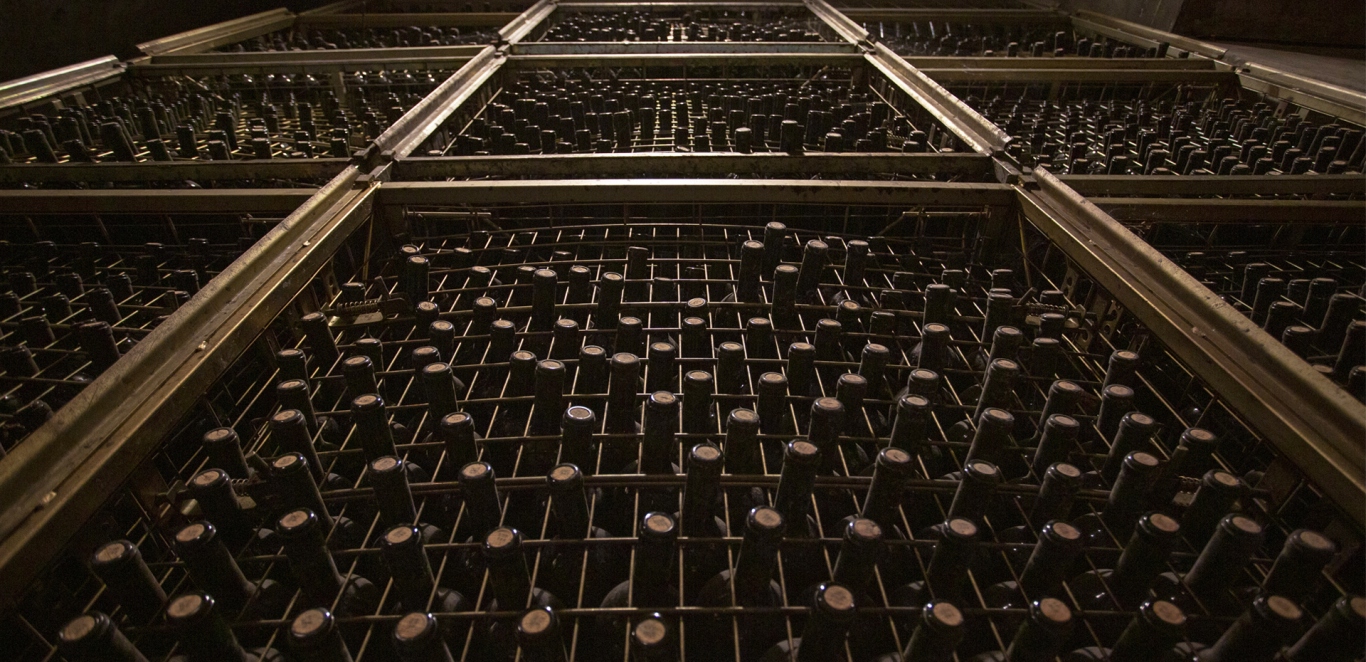 Tierra del Vino - Mendoza