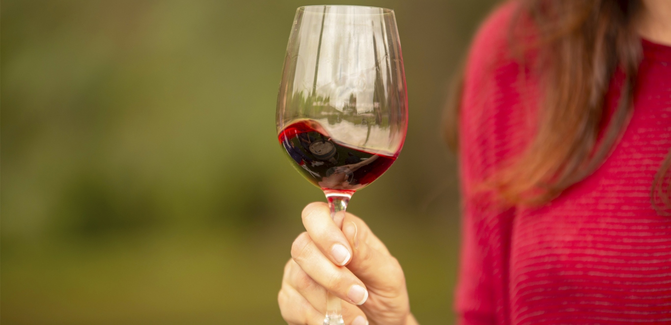 Enologo - Cultura del vino