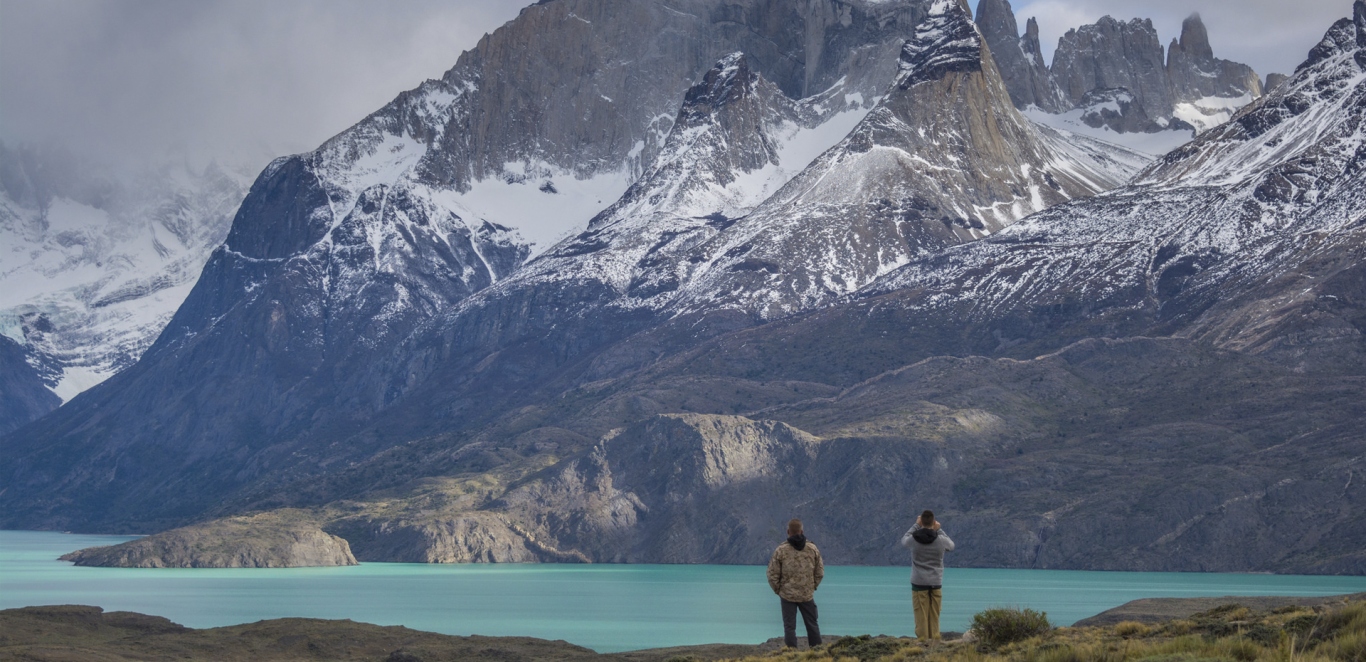 Calafate y Torres del Paine