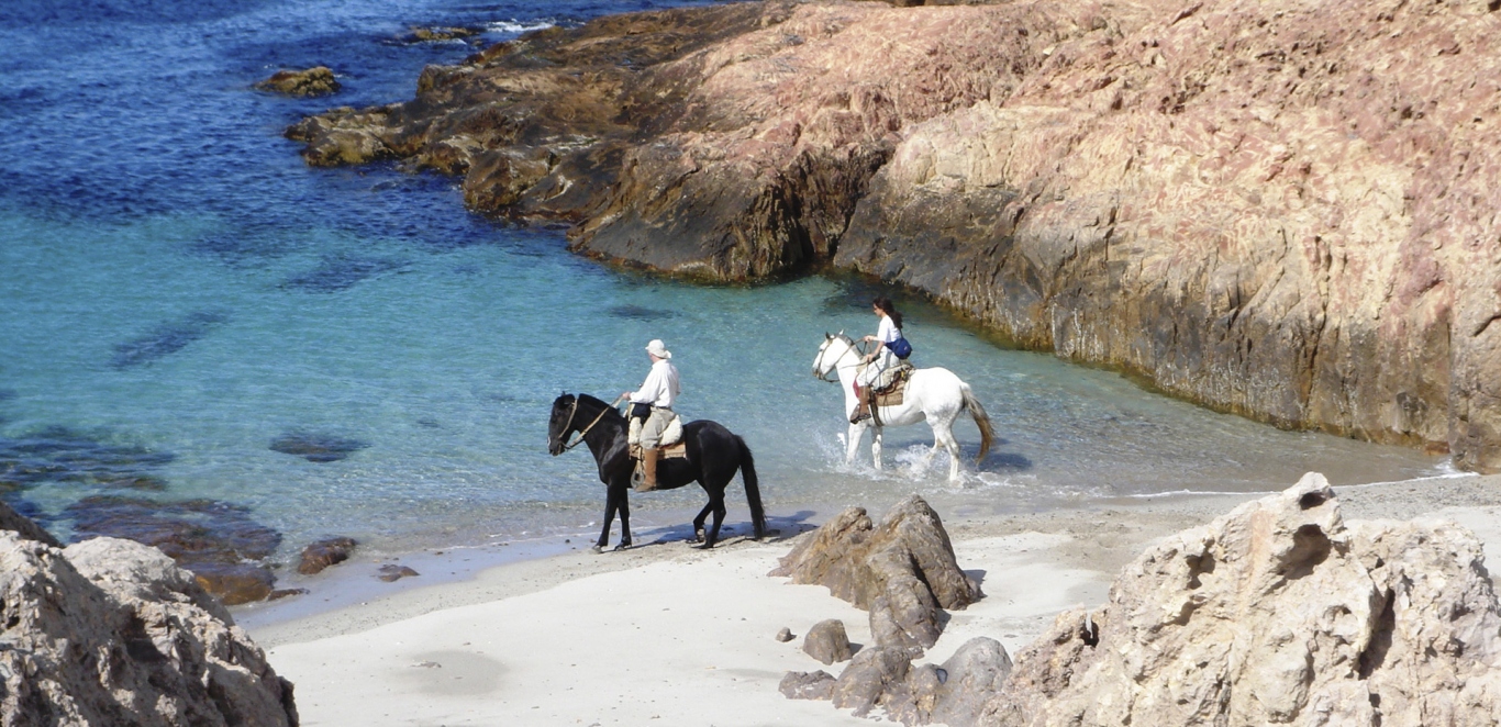 Bah&iacute;a Bustamante