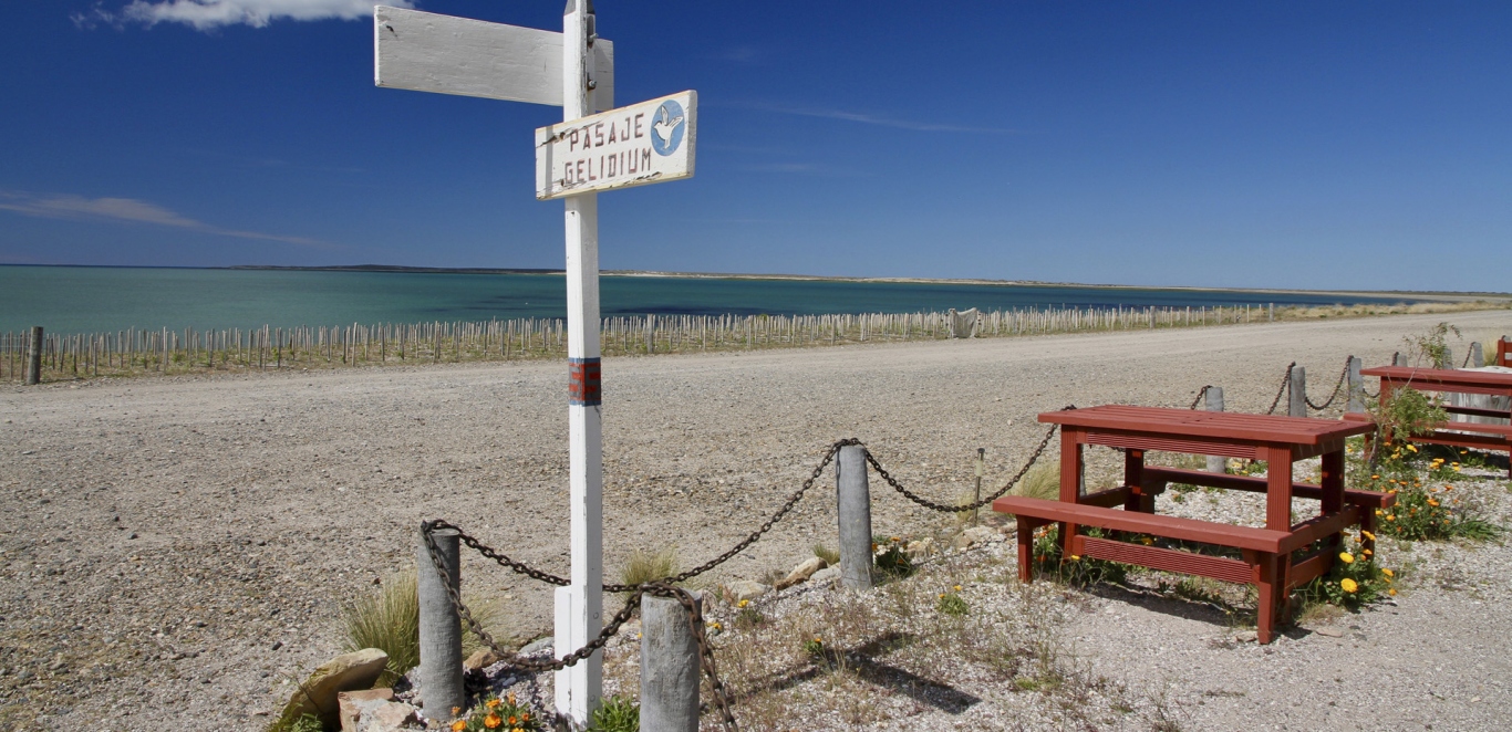 Bahia Bustamante - Chubut - Argentina - Patagonia