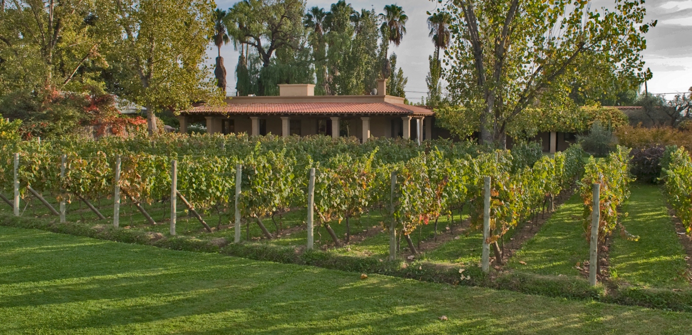 Posada Verde Oliva - Lujan de Cuyo - Mendoza