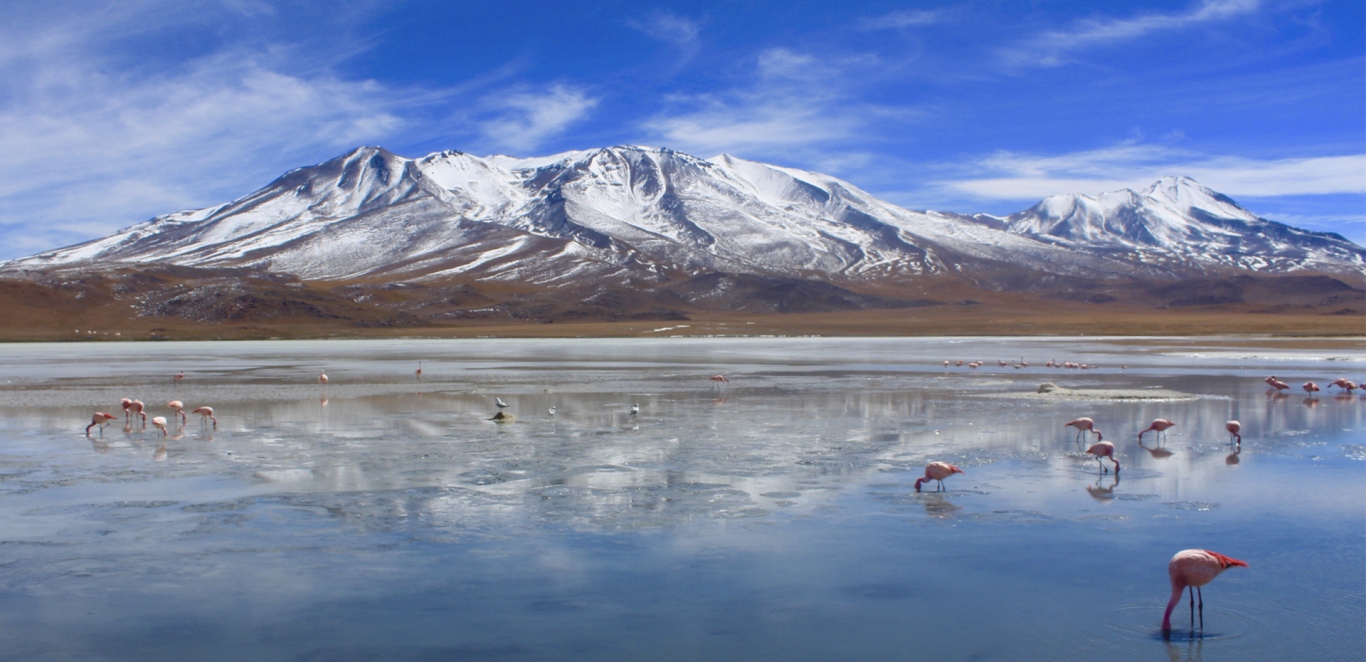 ATACAMA Y UYUNI